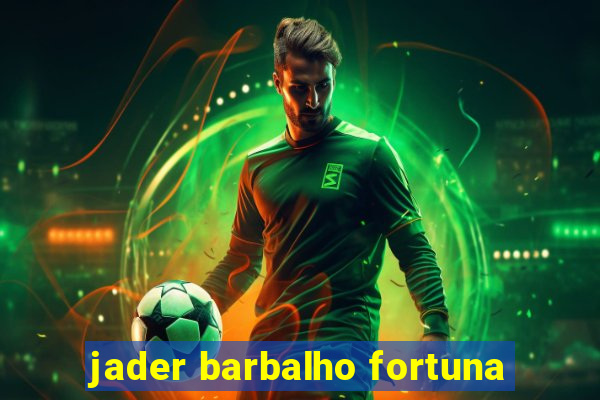 jader barbalho fortuna